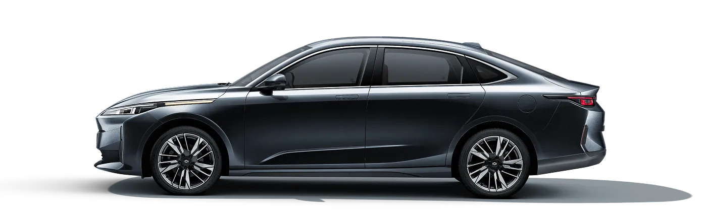 Vehículo en color GRIS ANDINO