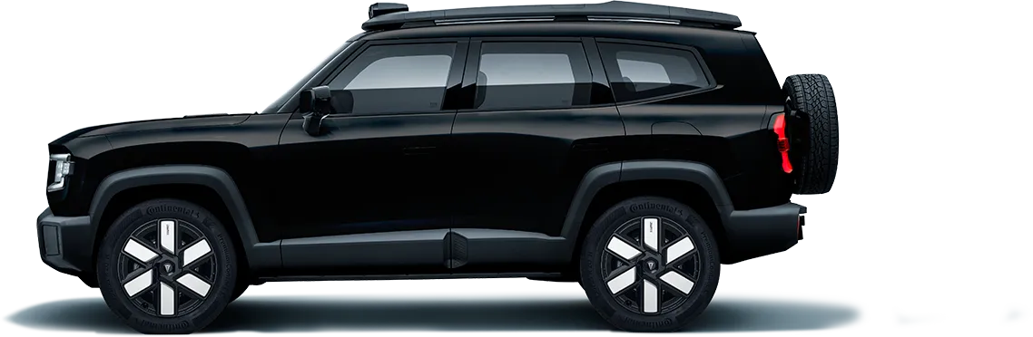 Vehículo en color NEGRO